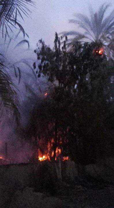 حريق يلتهم 40 نخلة وبعض الأشجار في البلينا بسوهاج