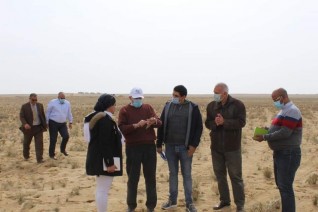 البحث العلمى وشركة الريف المصرى تدشنا الحملة القومية للنهوض بالزراعات الصحراوية فى المغرة