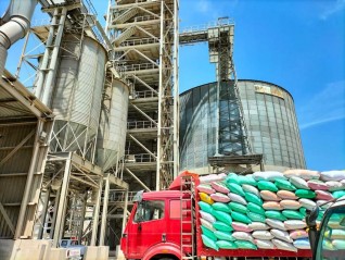 التموين: تغريم خمسة مزارعين 1,5مليون جنية لعدم توريدهم لمحصول القمح في الاسكندرية